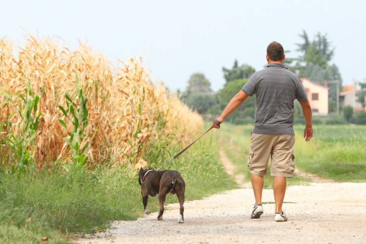 I doveri del padrone del cane