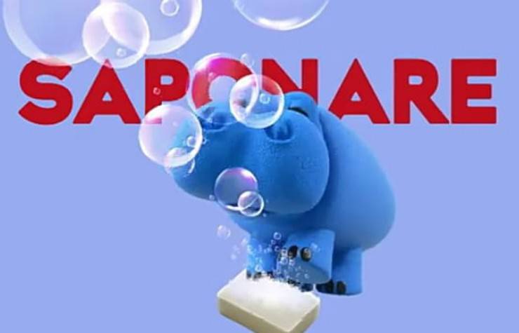 Il consiglio "Saponare" (Foto video)