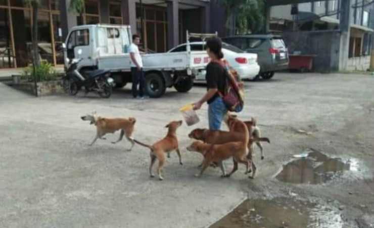 La donna che porta il cibo ai randagi (Foto Facebook)