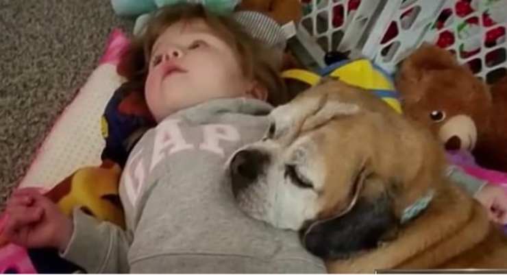 La bambina e il suo cane (Fonte video Nbcconnecticut)
