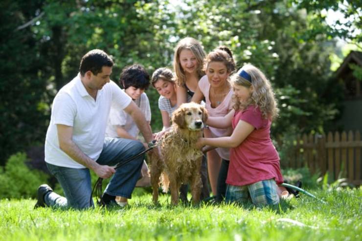 famiglia cane