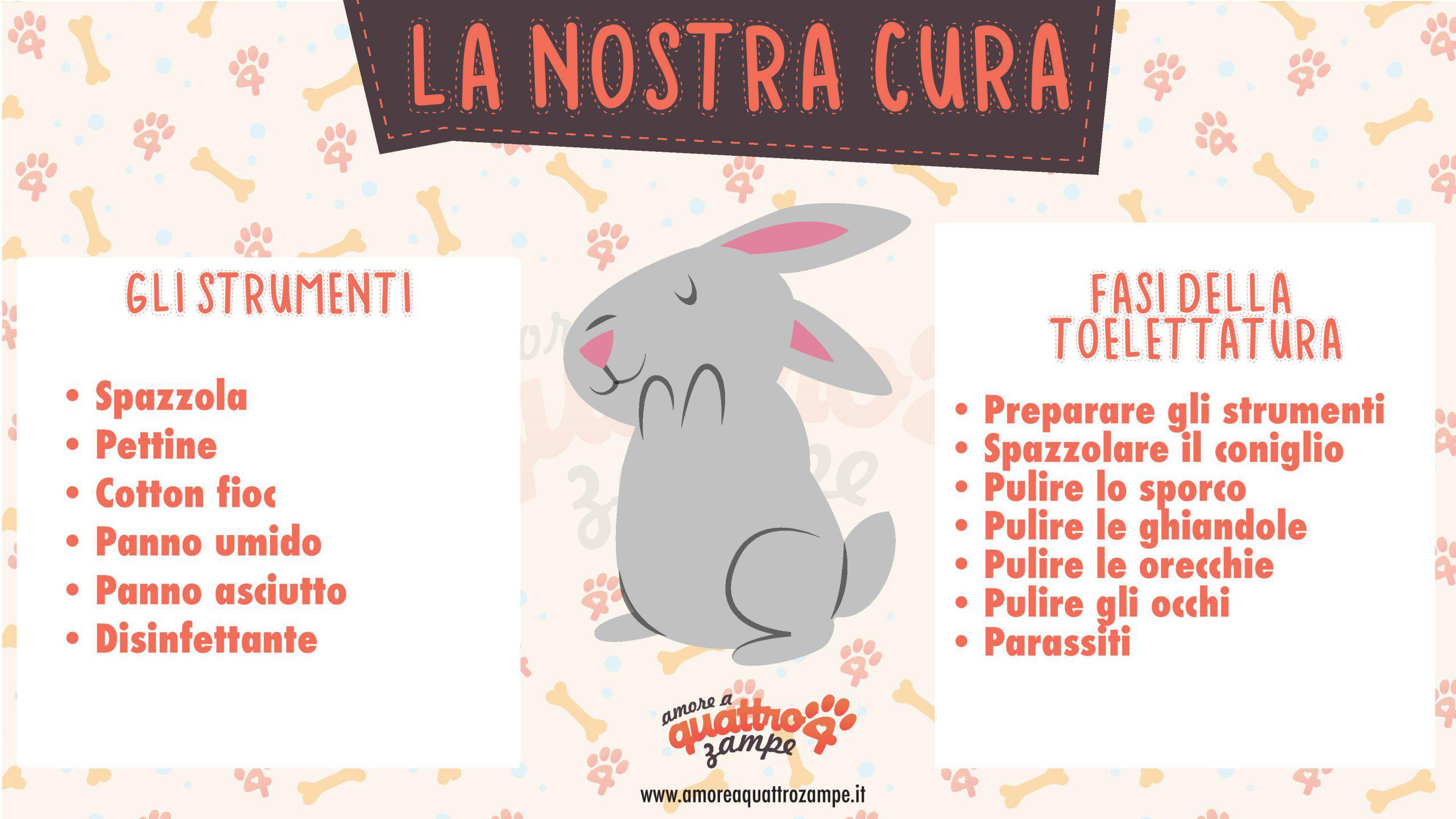 cura coniglio infografica