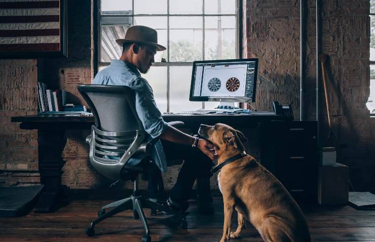 Smart working con il cane