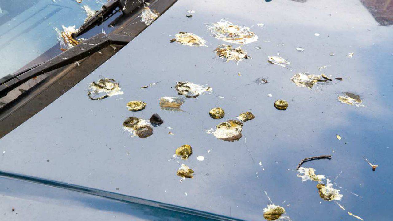 canarino feci liquide e bianche Idee di cibo morbido per pazienti affetti da cancro: Pasti nutrienti e  facili da mangiare per main image 1