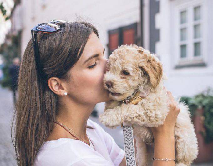 Come funziona la mente del cane? Tutto ciò che devi sapere