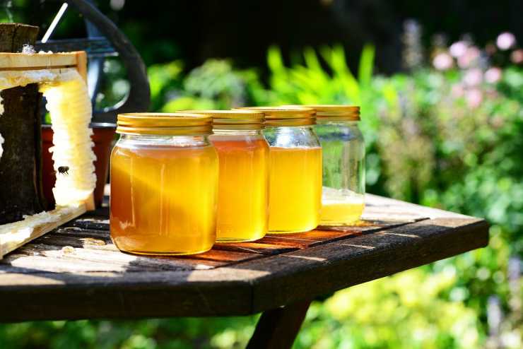 Il miele nei vasetti (Foto Pixabay)