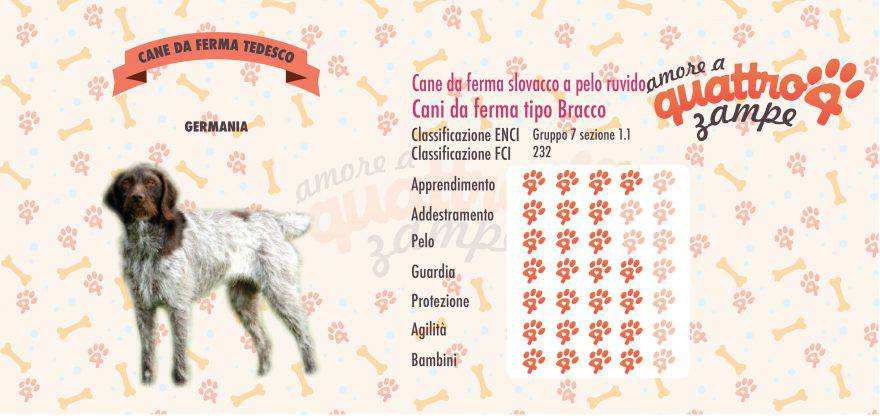 Cane da Ferma tedesco a Pelo Ruvido scheda razza