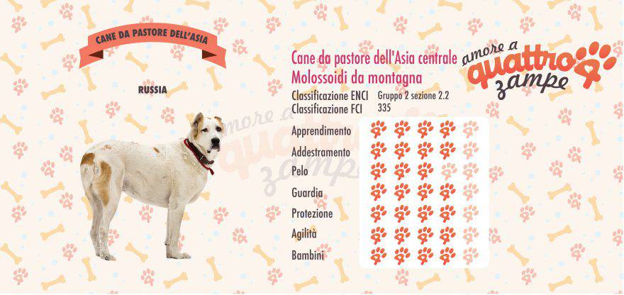 Cane da Pastore dell'Asia Centrale scheda razza