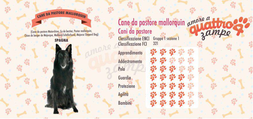 Cane da Pastore Mallorquin scheda razza