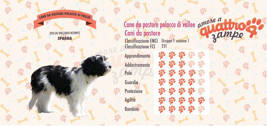 Cane da Pastore Polacco da Vallee scheda razza