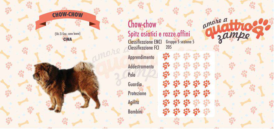 Chow-chow scheda razza cane