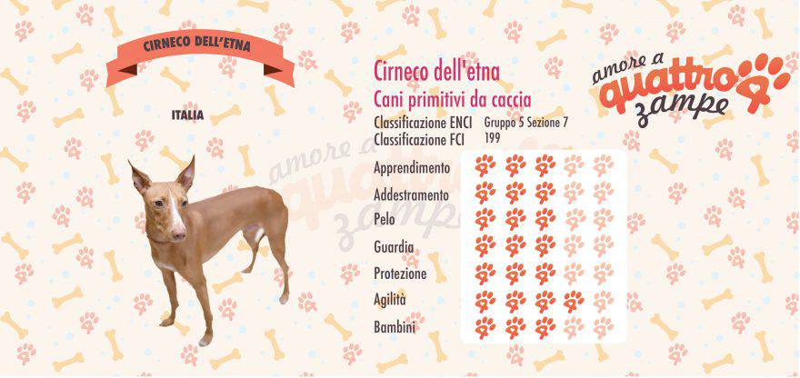 Cirneco dell'etna scheda razza