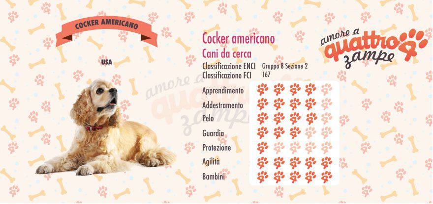 Cocker Americano scheda razza