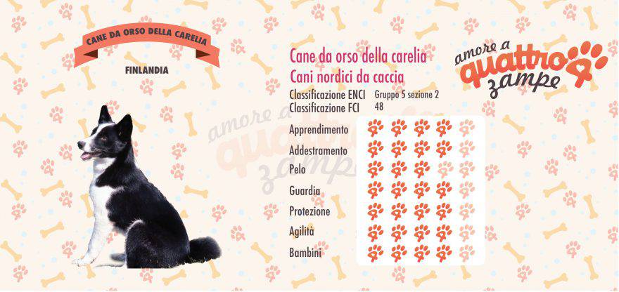Cane da orso della carelia scheda razza