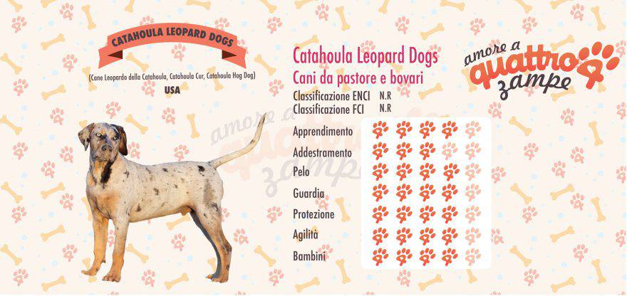 Catahoula Leopard Dogs scheda razza