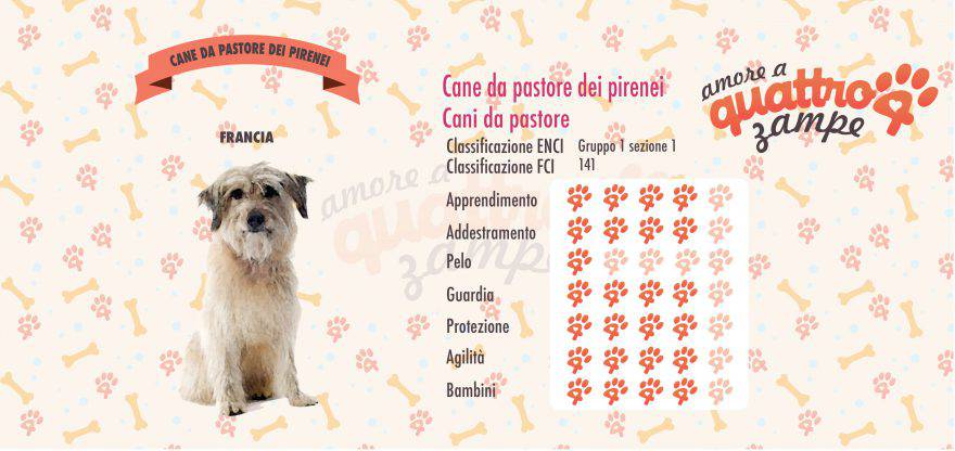 Cane da pastore dei pirenei scheda razza