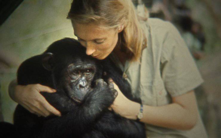 jane goodall pandemia animali