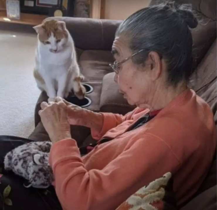 nonna ripara giocattolo gatto