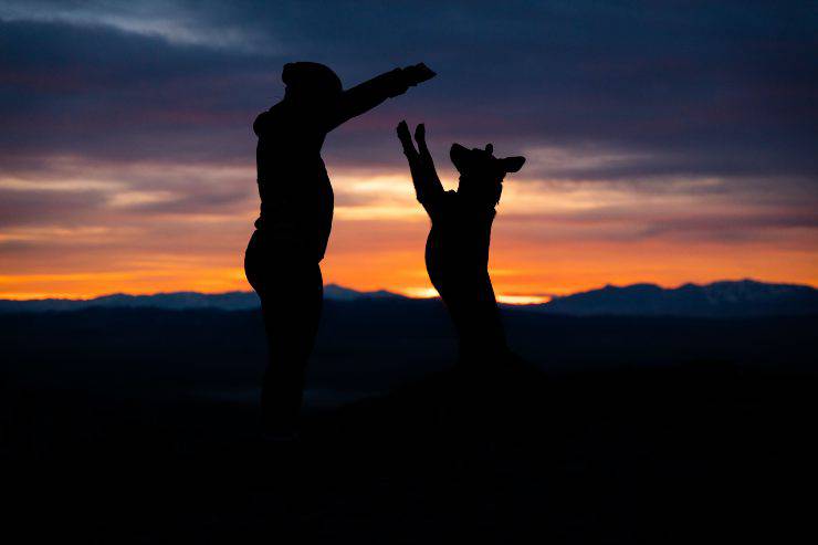 Risparmiare soldi con un cane