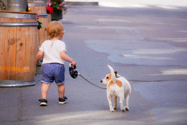 animali per bambini