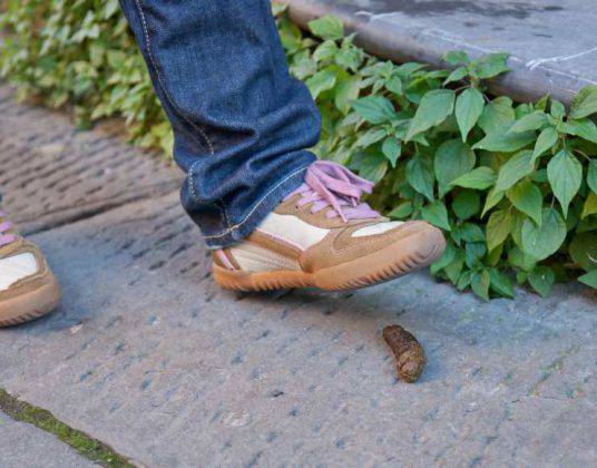 Come Togliere Odore Di Cacca Dalle Scarpe