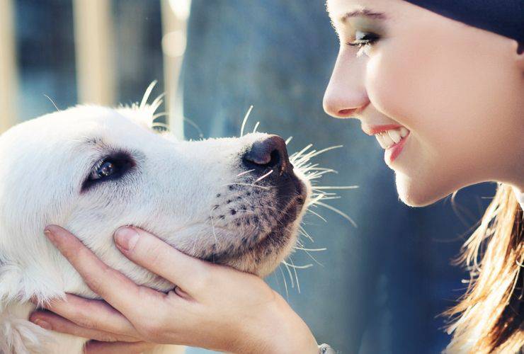 cani riconoscono padrone foto