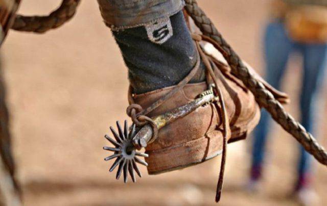 Sperone è utile nell'equitazione o dannoso per il cavallo