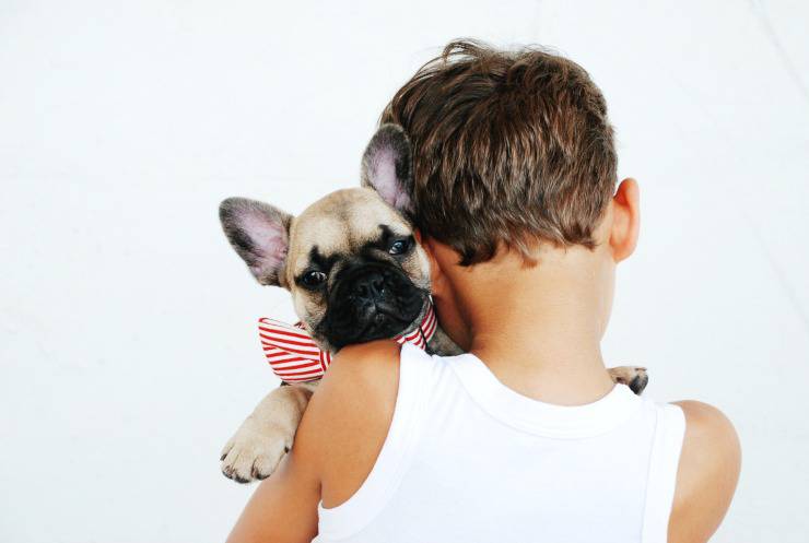 Come convincere i genitori a prendere un cane: la guida a colpo sicuro