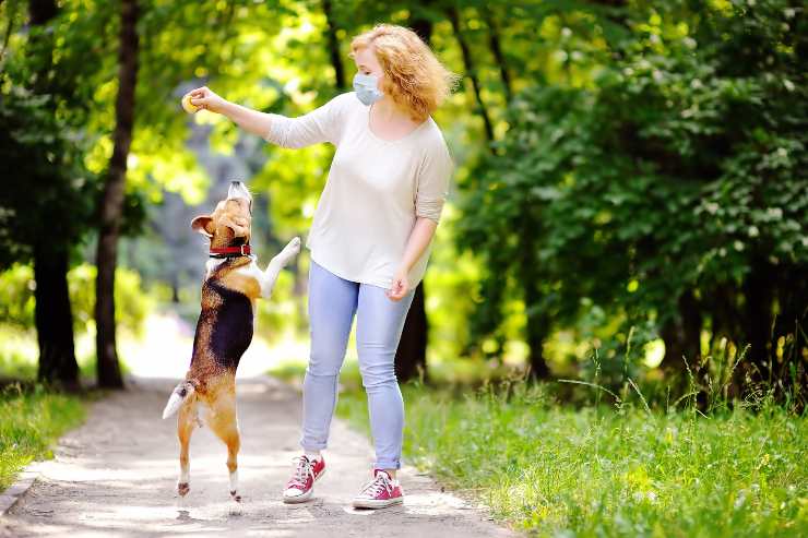 portare il cane al parco