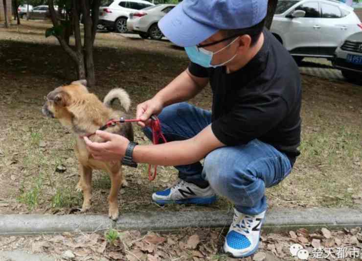 Il cane e un membro dell'associazione (Foto Twitter)