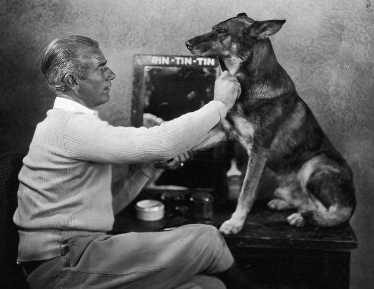 Rin Tin Tin