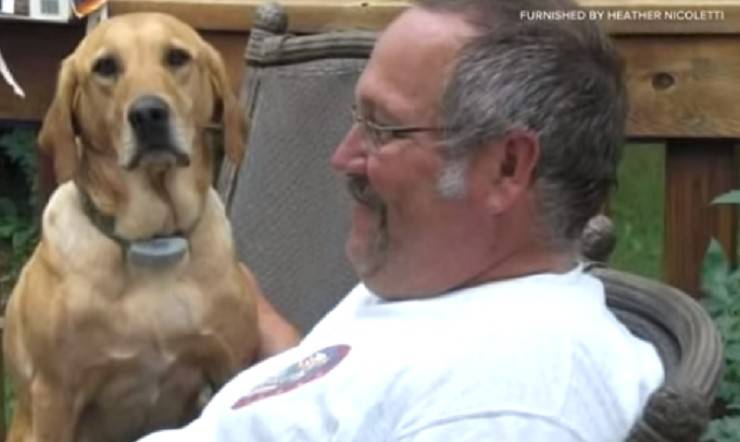 cane muore dopo decesso del padrone