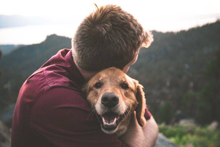 Prendere un cucciolo in affido