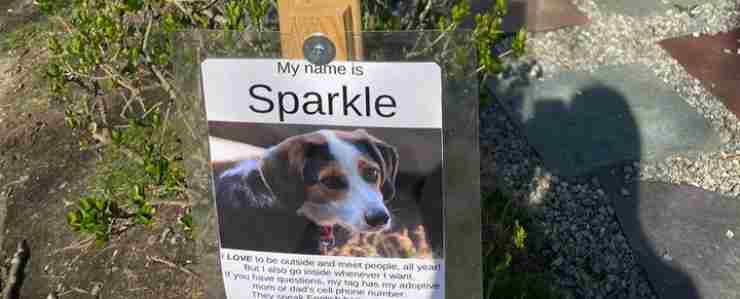 sparkle