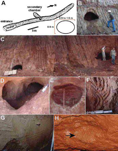 grotte mammiferi esinti