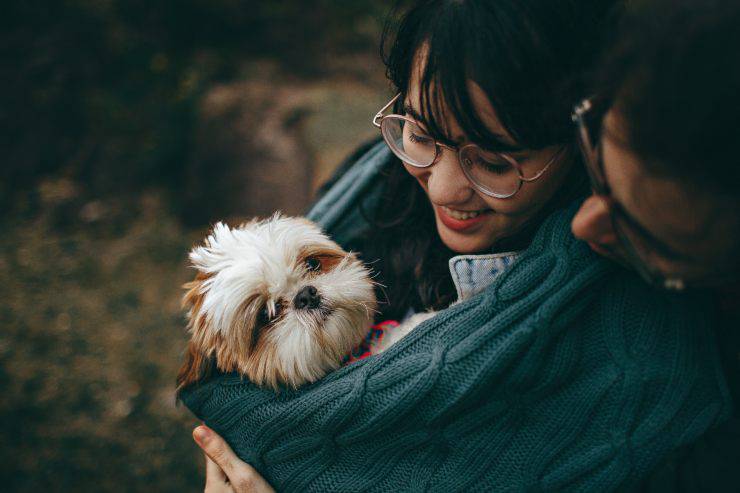 Prendere un cucciolo in affido