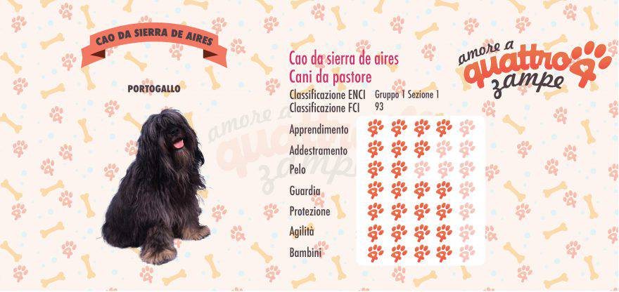 cane da sierra de aires scheda razza