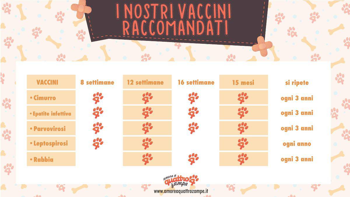 Infografica vaccini raccomandati