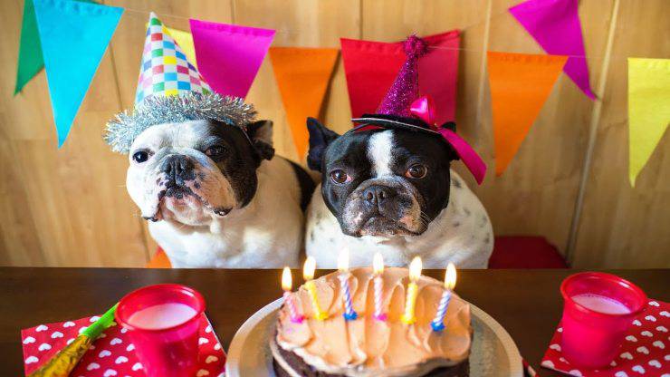 NobleWorks 3 Biglietti Compleanno Per Cani Con Buste - Dogopoly C3986BDG-C3x1 - Divertenti E Originali