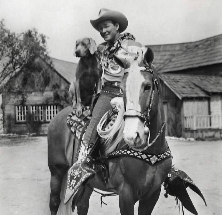 cavallo western roy rogers