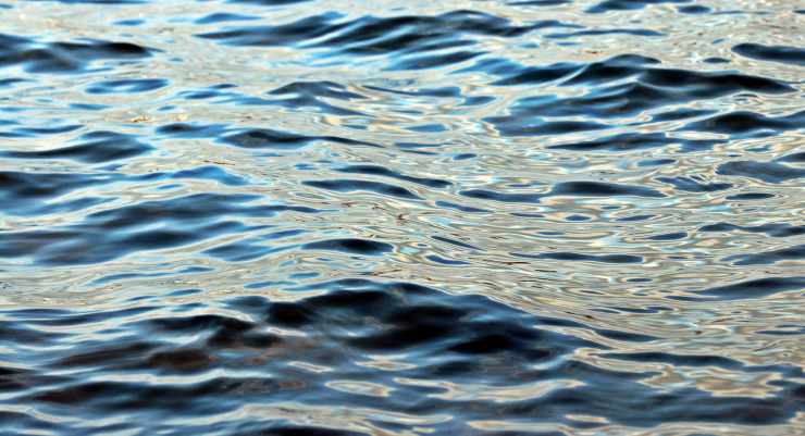acque del mare (foto Pixabay)
