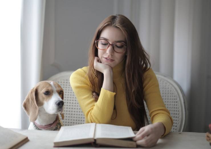 curiosità sul cane