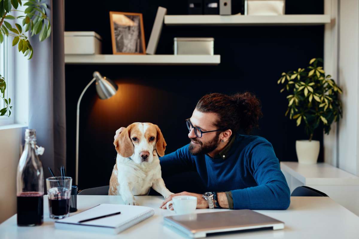 Il padrone e il cane in ufficio (Foto Adobestock)