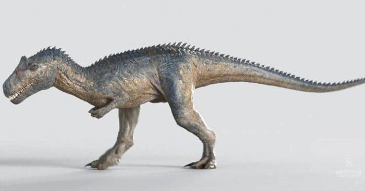 Dinosauri cannibali: il temibile Allosauro 