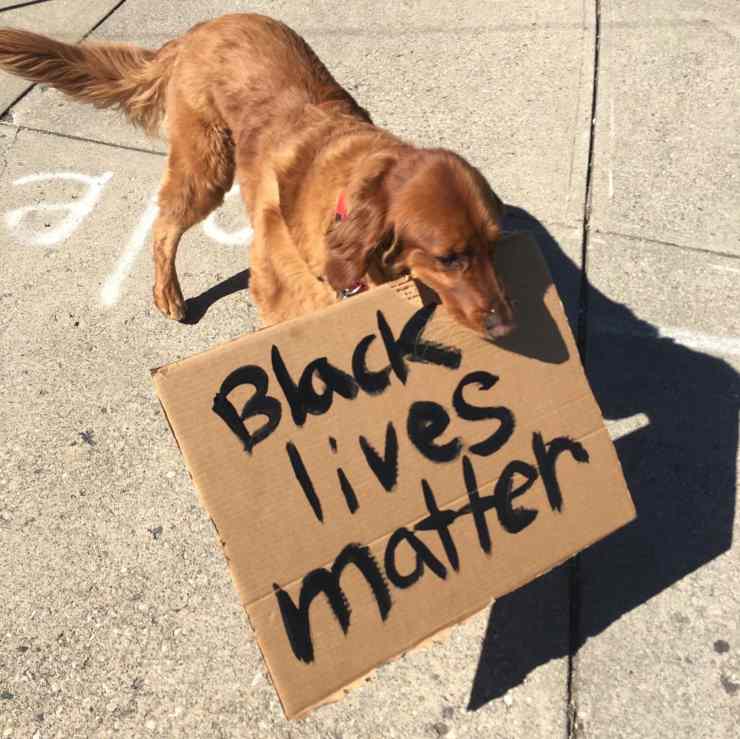 cane partecipa protesta