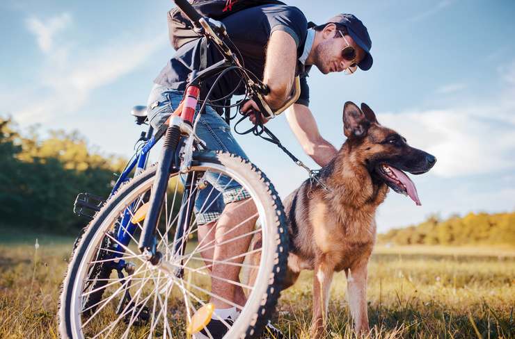 guinzaglio cani biciclette