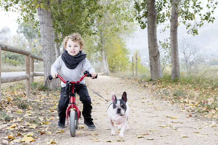 Andare in bici con il cane