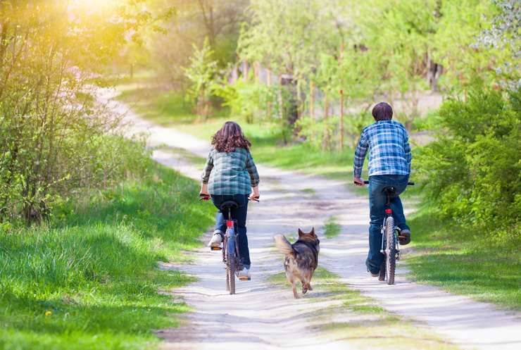 Andare in bici con il cane