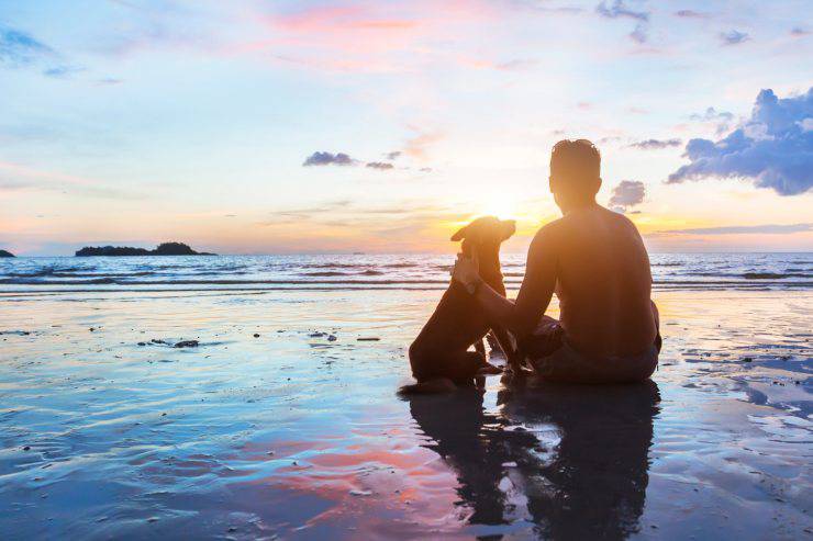 Il cane può fare il bagno in mare