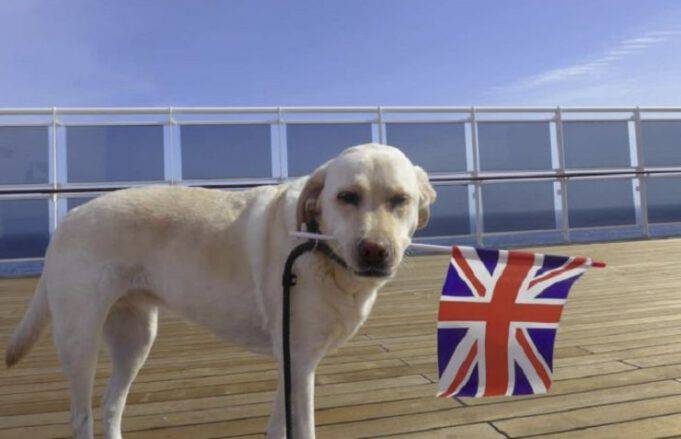 Come Si Dice Stella In Inglese